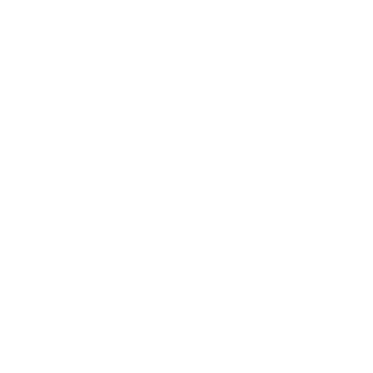 Vicenza